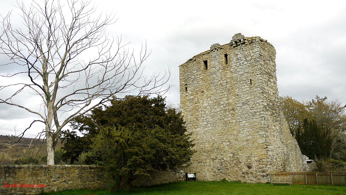 Drumin Castle