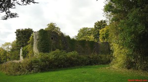 Ballumbie Castle