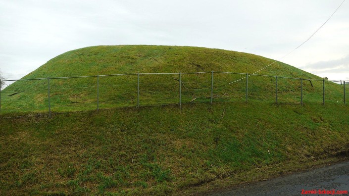 Coulter Motte