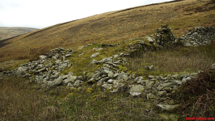 Glentress Tower