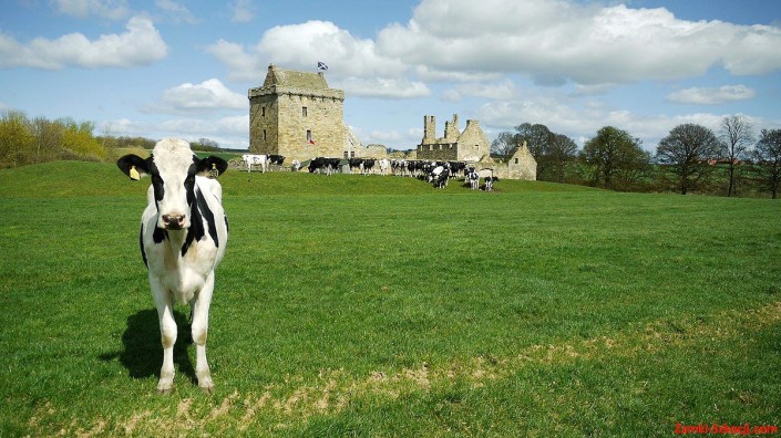 Balgonie Castle