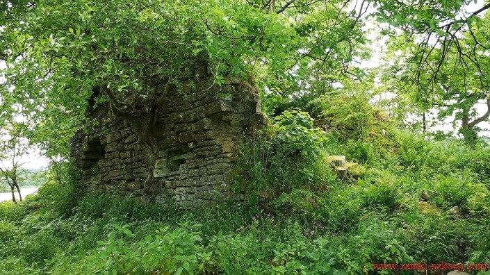 Belltrees Peel